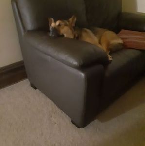 Meet your Posher, Mary